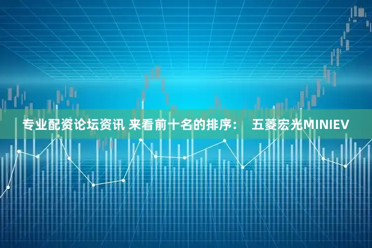 专业配资论坛资讯 来看前十名的排序：  五菱宏光MINIEV
