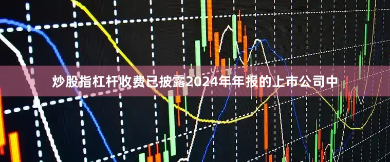炒股指杠杆收费已披露2024年年报的上市公司中