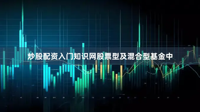 炒股配资入门知识网股票型及混合型基金中